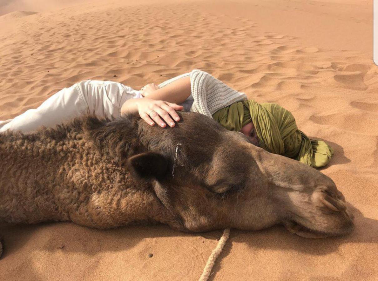 מלון מרזאוגה Sahara Family Camp מראה חיצוני תמונה